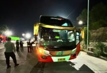 Bus dari Palembang Bawa 991 Burung Liar, Terhenti Saat Diperiksa di Bakauheni”
