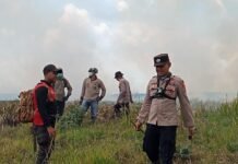 Karhutla di TN Way Kambas, Kepolisian Berjibaku Padamkan Api di Tengah Medan Sulit*