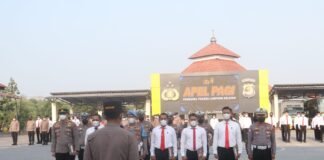 Ada Kegagalan di Balik Keberhasilan, Tak Mudah Ungkap Kejahatan, 16 Personel Polres Lampung Selatan Terima Reward*