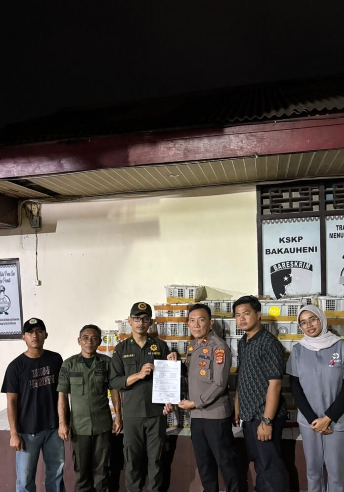 IMG-20260927-WA0074
